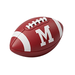 Sporting Goods category